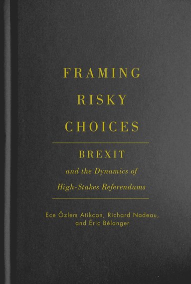 bokomslag Framing Risky Choices