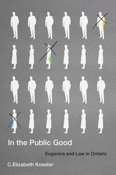 C. Elizabeth Koester - In the Public Good, Häftad