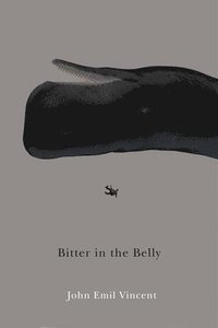 bokomslag Bitter in the Belly