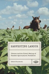 bokomslag Harvesting Labour