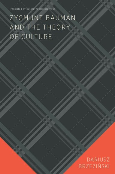 Dariusz Brzeziński - Zygmunt Bauman and the Theory of Culture, Häftad