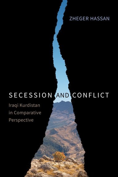 bokomslag Secession and Conflict