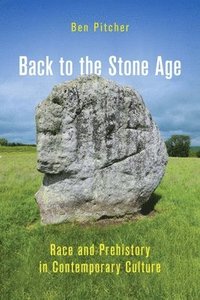 bokomslag Back to the Stone Age