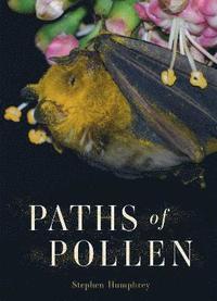 bokomslag Paths of Pollen