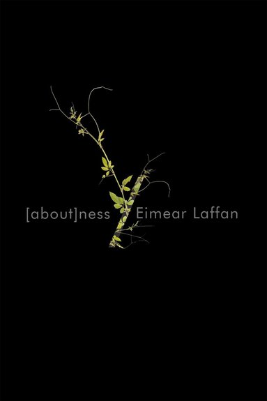 Eimear Laffan - Aboutness, Häftad