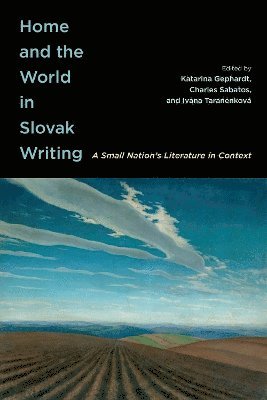 bokomslag Home and the World in Slovak Writing