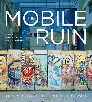 Blake Fitzpatrick, VID Ingelevics, Blake Fitzpatrick, Vid Ingelevics - Mobile Ruin, Häftad