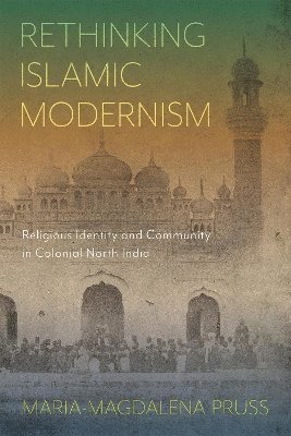 bokomslag Rethinking Islamic Modernism