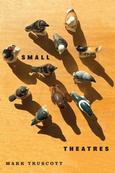 Mark Truscott - Small Theatres, Häftad