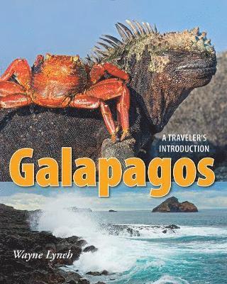 Galapagos: A Traveler's Introduction 1