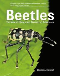 bokomslag Beetles