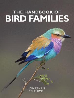 Jonathan Elphick - The Handbook of Bird Families, Häftad