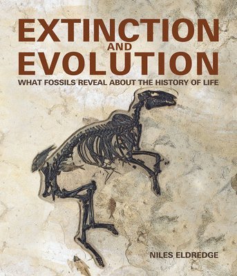 Extinction and Evolution 1