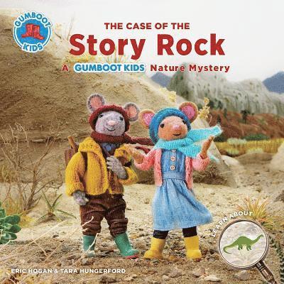 The Case of the Story Rock 1