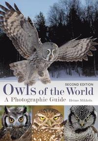 bokomslag Owls of the World: A Photographic Guide