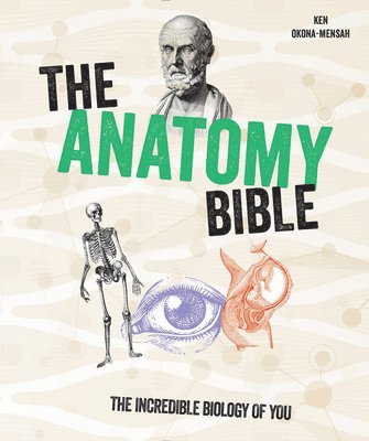 bokomslag The Anatomy Bible: The Incredible Biology of You