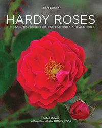 bokomslag Hardy Roses