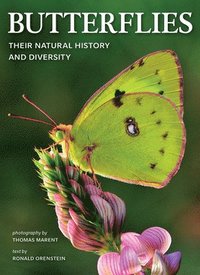 bokomslag Butterflies: Their Natural History and Diversity