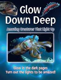 bokomslag Glow Down Deep