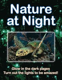 bokomslag Nature at Night