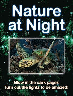 Nature at Night 1