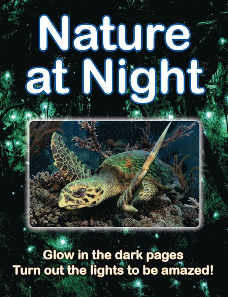 Lisa Regan - Nature at Night, Häftad
