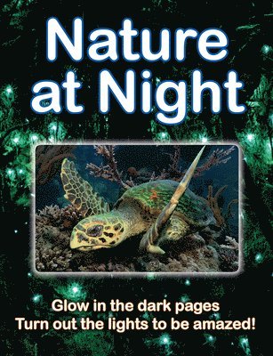 Nature at Night 1