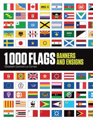 1000 Flags 1