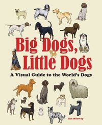 bokomslag Big Dogs, Little Dogs: A Visual Guide to the World's Dogs