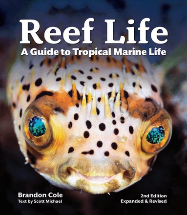 Michael Scott - Reef Life, Häftad