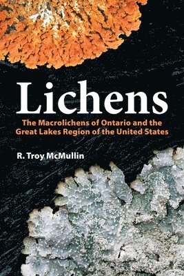 Lichens 1