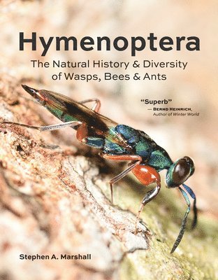 bokomslag Hymenoptera