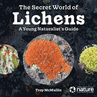 bokomslag Secret World of Lichens