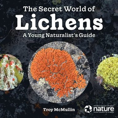bokomslag Secret World of Lichens