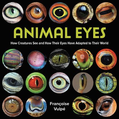Francoise Vulpe, Françoise Vulpé - Animal Eyes, Häftad