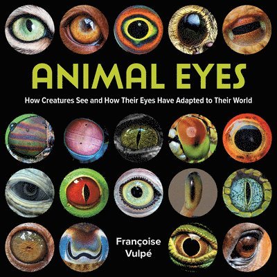 Animal Eyes 1