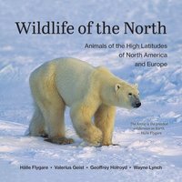 bokomslag Wildlife of the North: Animals of the High Latitudes of North America and Europe