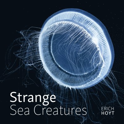 Strange Sea Creatures 1