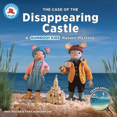 bokomslag Case of the Disappearing Castle