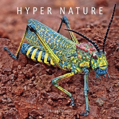 Hyper Nature 1