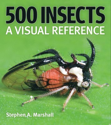 Stephen A Marshall, Stephen A. Marshall - 500 Insects: A Visual Reference, Häftad