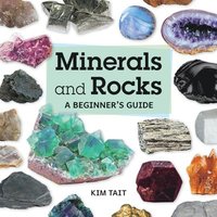 bokomslag Minerals and Rocks