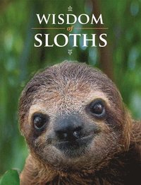 bokomslag Wisdom of Sloths