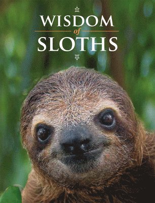 Wisdom of Sloths 1