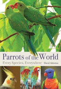bokomslag Parrots of the World: Every Species, Everywhere