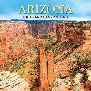 bokomslag Arizona: The Grand Canyon State