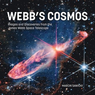 bokomslag Webb's Cosmos
