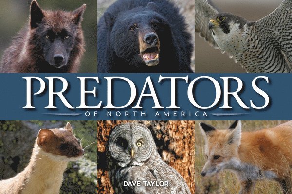 Predators of North America 1