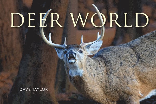 Dave Taylor - Deer World, Häftad
