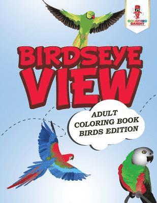 Coloring Bandit - Birdseye View, Häftad